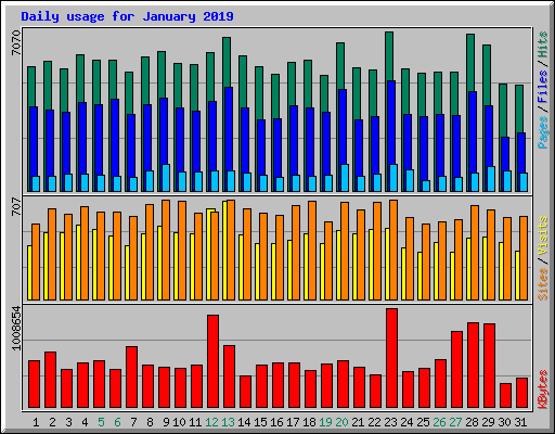 Daily usage for January 2019