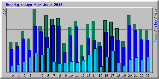 Hourly usage for June 2016