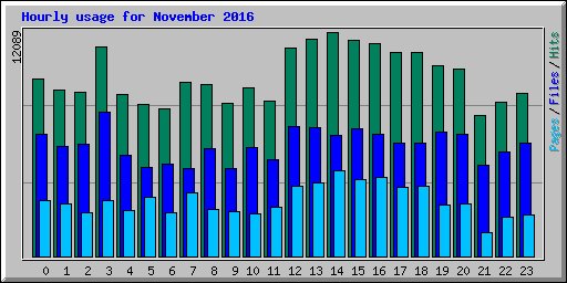 Hourly usage for November 2016