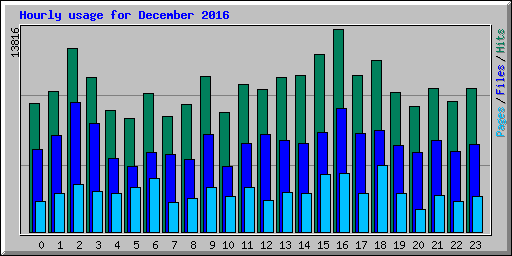 Hourly usage for December 2016