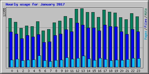 Hourly usage for January 2017