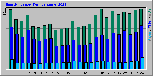 Hourly usage for January 2019