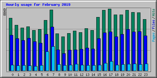 Hourly usage for February 2019