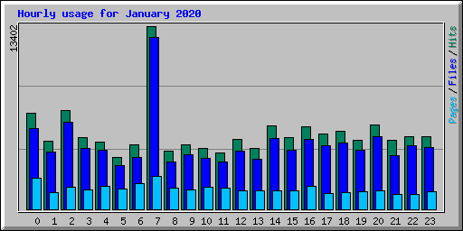 Hourly usage for January 2020