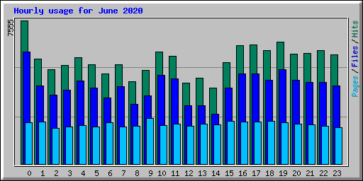 Hourly usage for June 2020