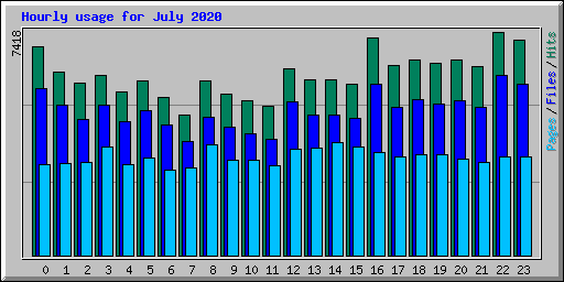 Hourly usage for July 2020